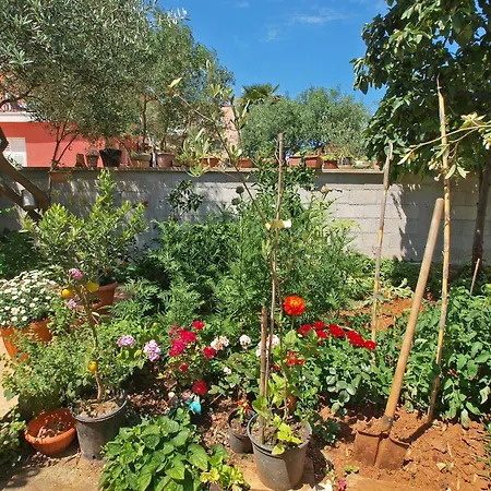 Apartament Ivanka 378 *