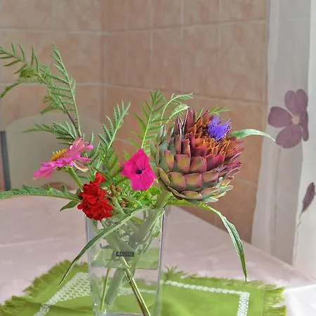 Ivanka 378 Apartament *