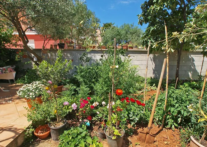 Apartamento Ivanka 378 *