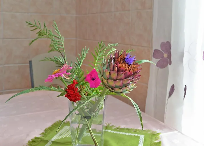 Ivanka 378 Apartamento *