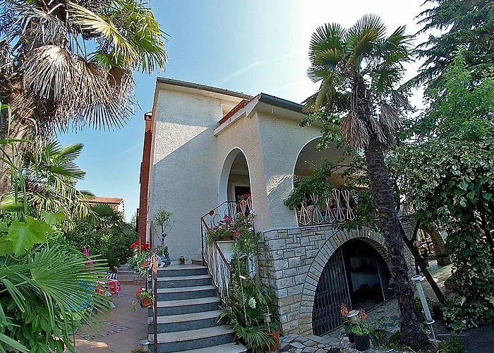 Ivanka 378 * 로비니