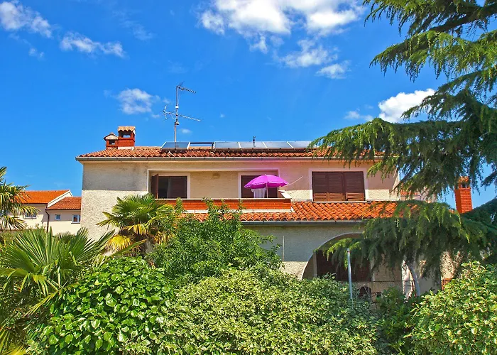 Ivanka 378 * 로비니