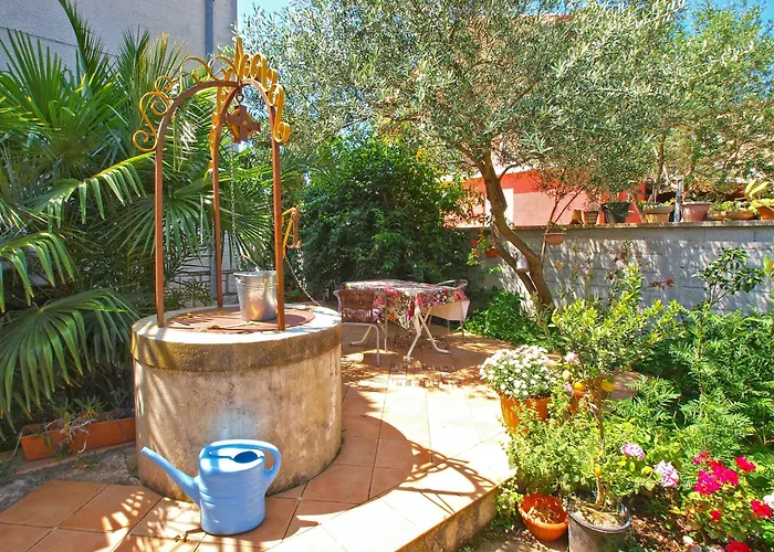 Ivanka 378 * 로비니