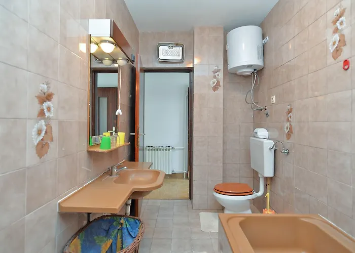 Ivanka 378 * 로비니